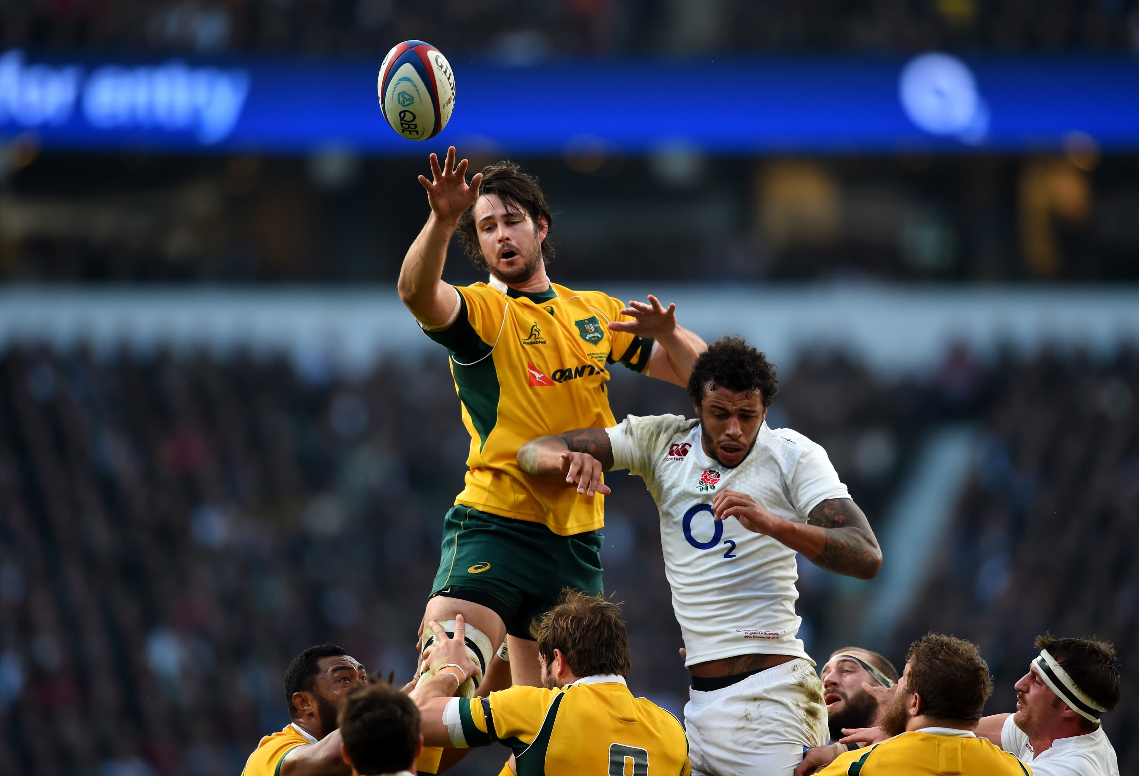 Sam Carter at Wallabies