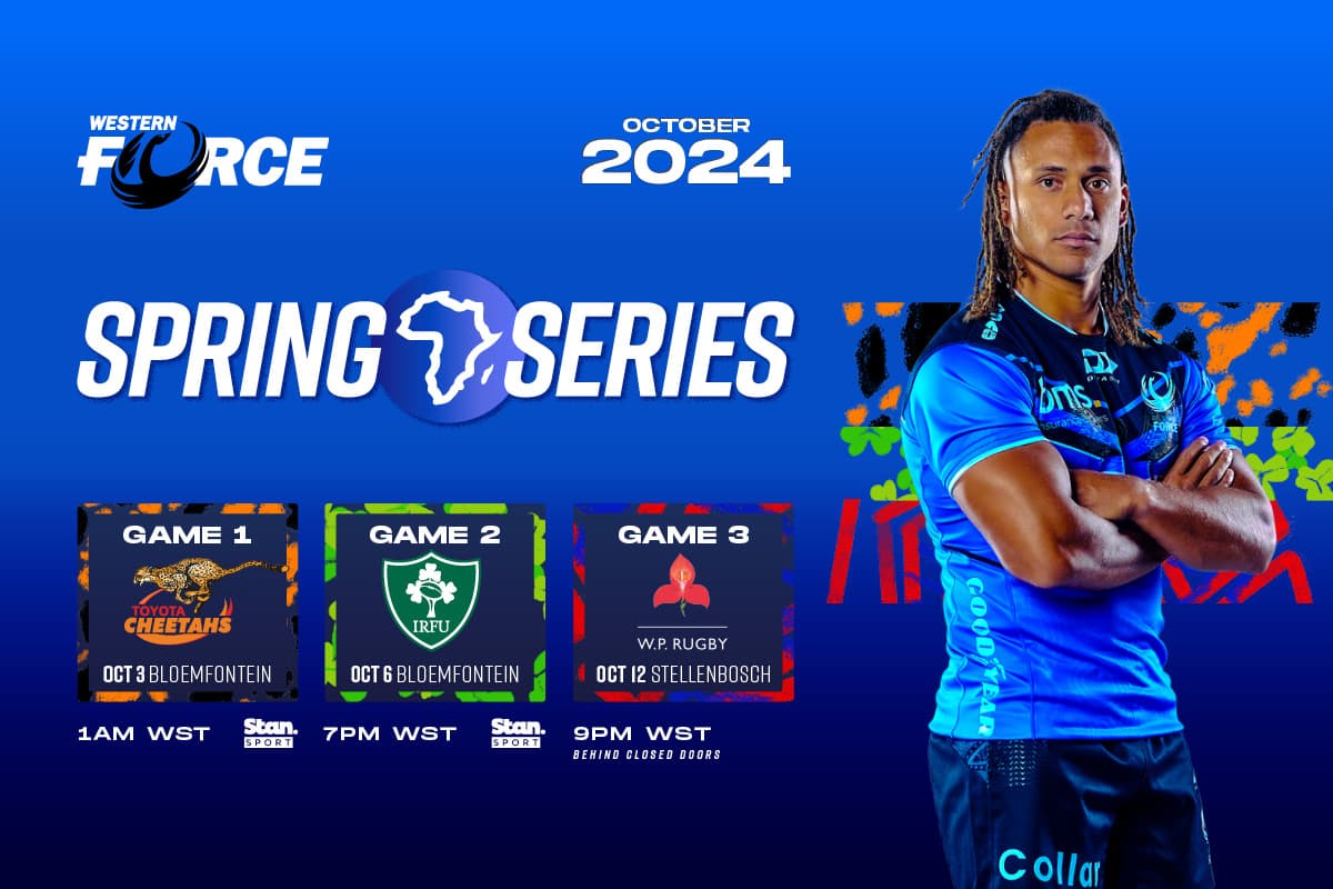 Spring series fixtures