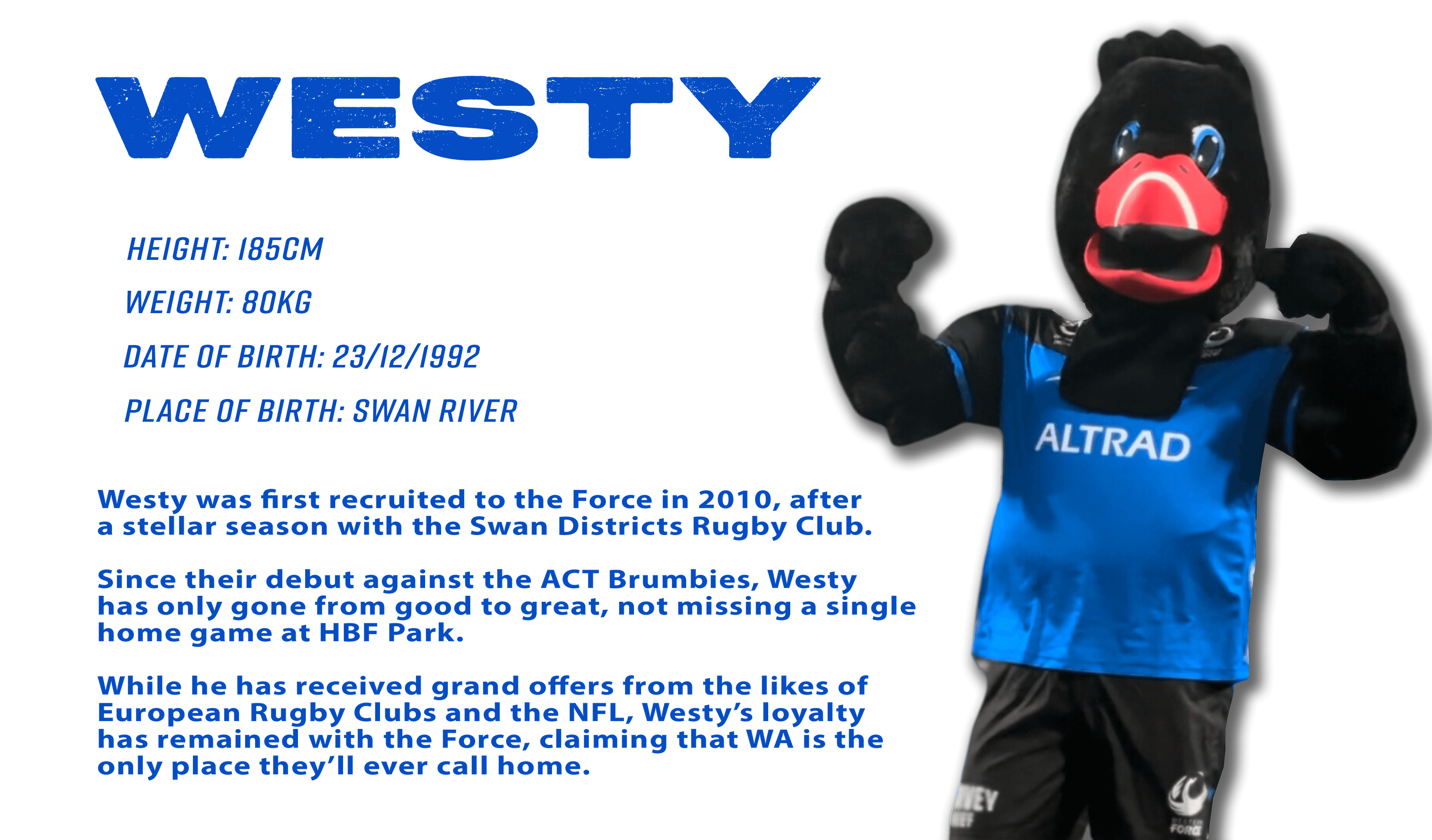 Westy Bio_2