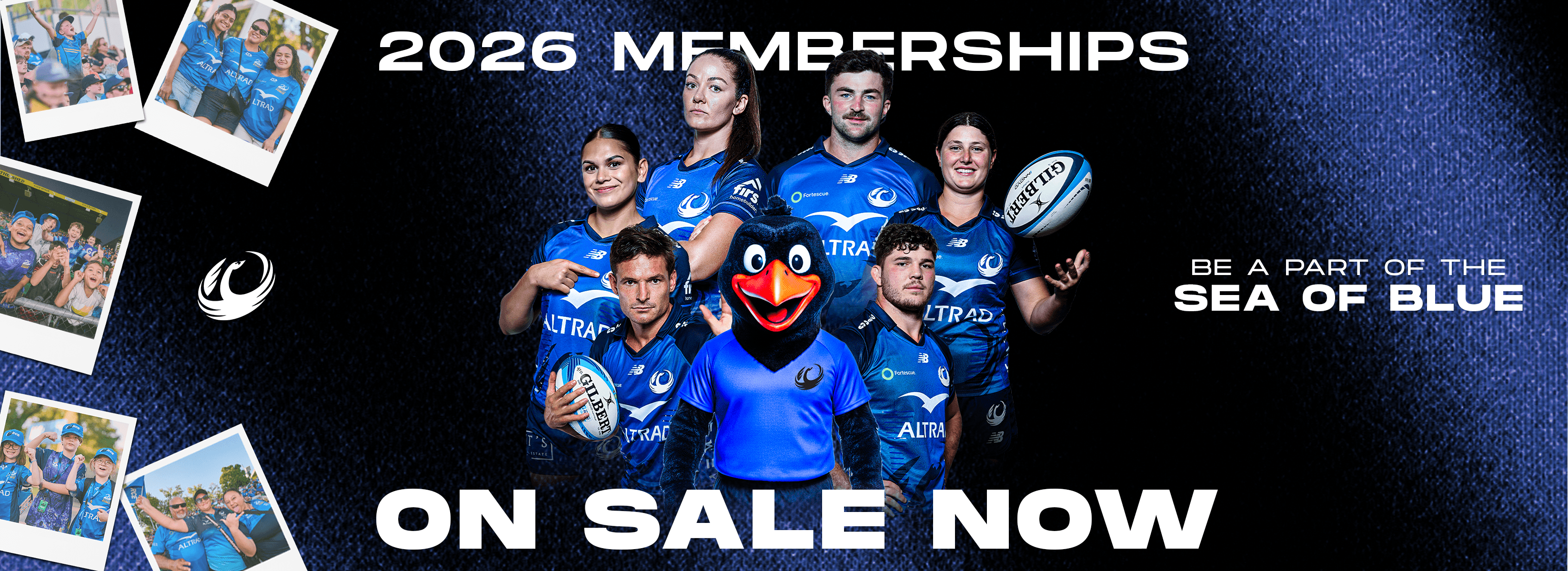 2026 memberships on sale 