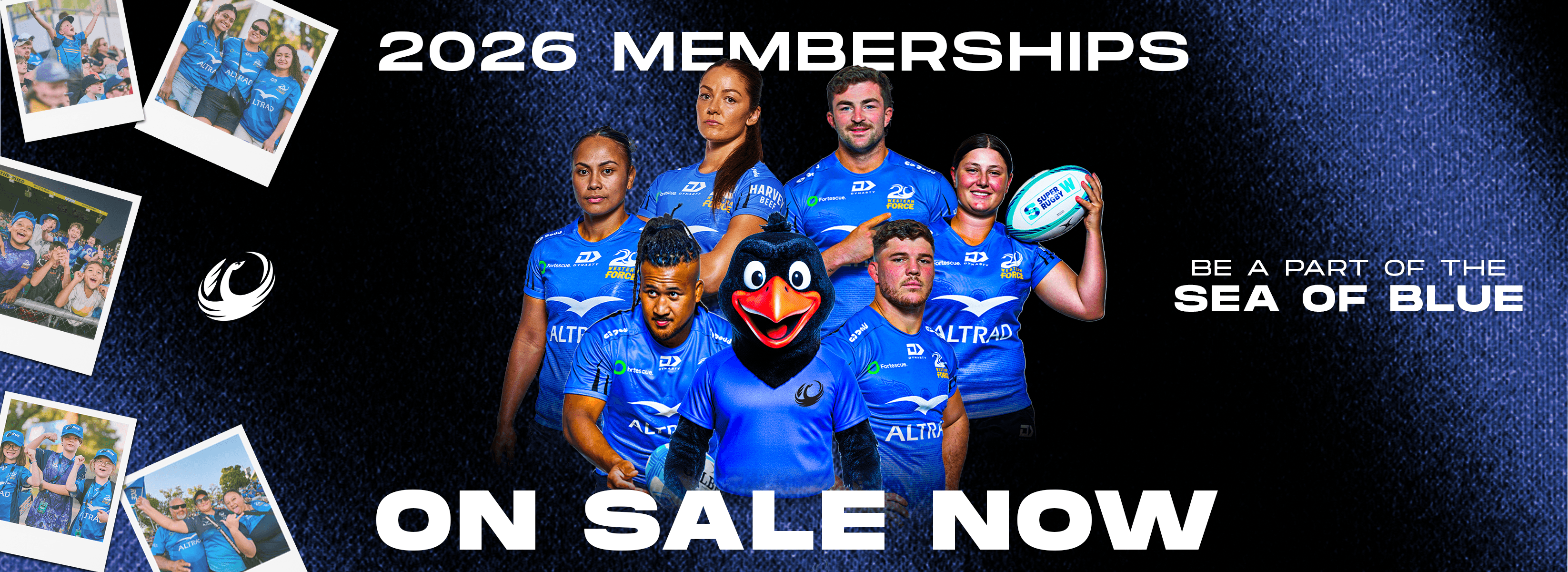 WF Memberships On sale Now