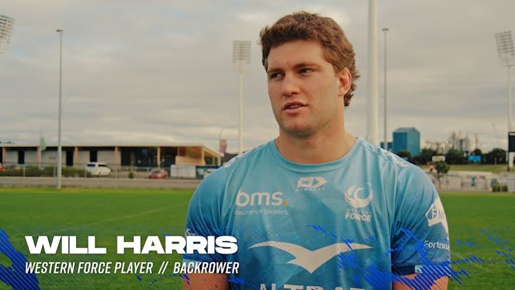 Will Harris interview ahead of his 50th Super Rugby game
